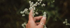 Preview wallpaper hand, flowers, fingers, ring