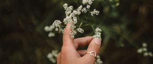 Preview wallpaper hand, flowers, fingers, ring