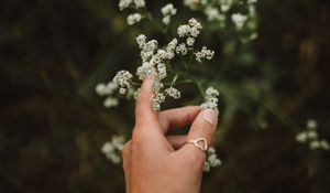 Preview wallpaper hand, flowers, fingers, ring