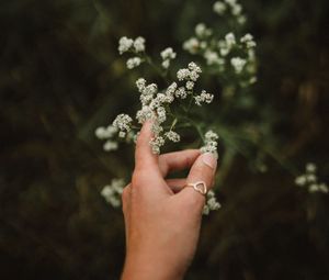 Preview wallpaper hand, flowers, fingers, ring