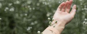Preview wallpaper hand, flowers, patch, field, daisies