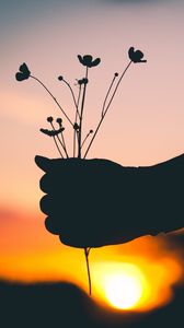 Preview wallpaper hand, flowers, silhouette, sunset