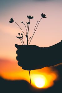 Preview wallpaper hand, flowers, silhouette, sunset