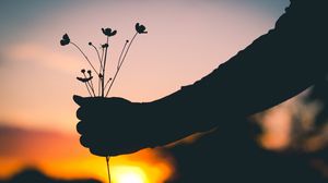 Preview wallpaper hand, flowers, silhouette, sunset