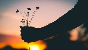 Preview wallpaper hand, flowers, silhouette, sunset