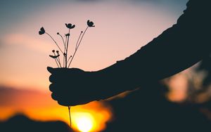 Preview wallpaper hand, flowers, silhouette, sunset