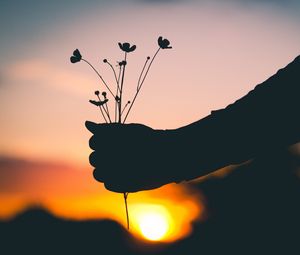 Preview wallpaper hand, flowers, silhouette, sunset