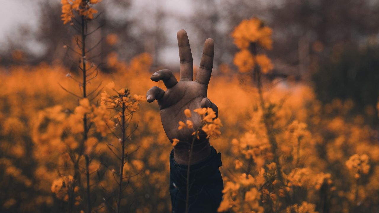 Wallpaper hand, flowers, wildflowers, hollow