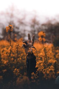 Preview wallpaper hand, flowers, wildflowers, hollow