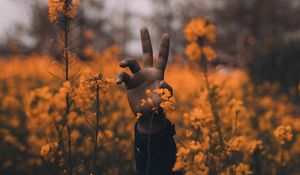 Preview wallpaper hand, flowers, wildflowers, hollow