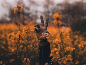 Preview wallpaper hand, flowers, wildflowers, hollow