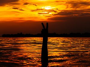 Preview wallpaper hand, gesture, sunset, water, glare