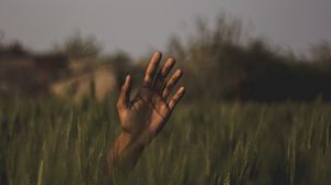 Preview wallpaper hand, grass, field, blur