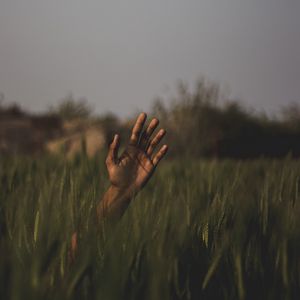 Preview wallpaper hand, grass, field, blur