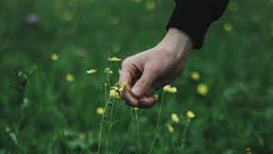 Preview wallpaper hand, grass, touch, flowers