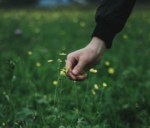 Preview wallpaper hand, grass, touch, flowers