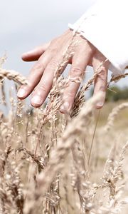 Preview wallpaper hand, grass, touch, field