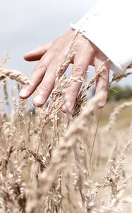 Preview wallpaper hand, grass, touch, field