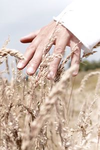 Preview wallpaper hand, grass, touch, field