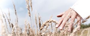 Preview wallpaper hand, grass, touch, field