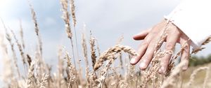 Preview wallpaper hand, grass, touch, field