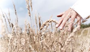 Preview wallpaper hand, grass, touch, field