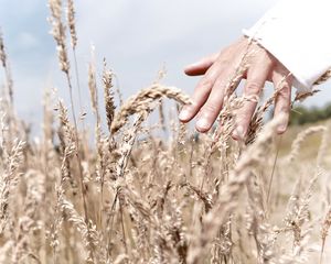 Preview wallpaper hand, grass, touch, field