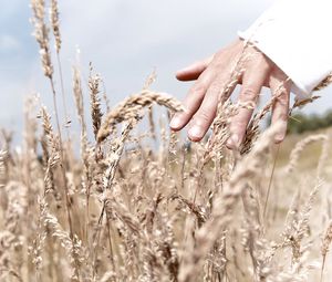 Preview wallpaper hand, grass, touch, field