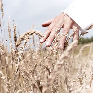 Preview wallpaper hand, grass, touch, field