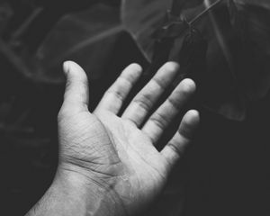 Preview wallpaper hand, handbreadth, bw, leaves, plants