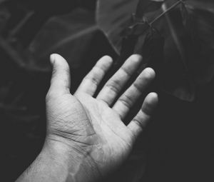 Preview wallpaper hand, handbreadth, bw, leaves, plants
