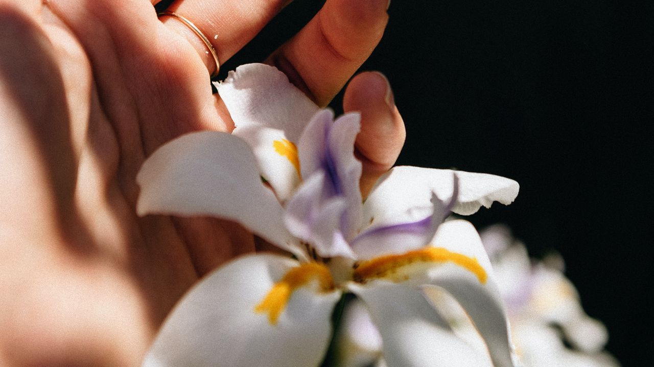 Wallpaper hand, iris, flower, ring