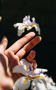 Preview wallpaper hand, iris, flower, ring