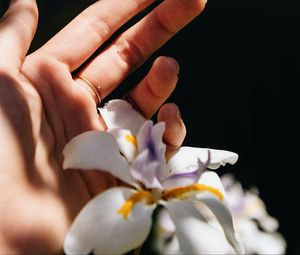 Preview wallpaper hand, iris, flower, ring