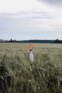 Preview wallpaper hand, kid, field, meadow, grass, ears