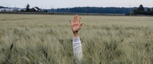 Preview wallpaper hand, kid, field, meadow, grass, ears