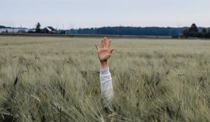 Preview wallpaper hand, kid, field, meadow, grass, ears