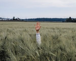 Preview wallpaper hand, kid, field, meadow, grass, ears