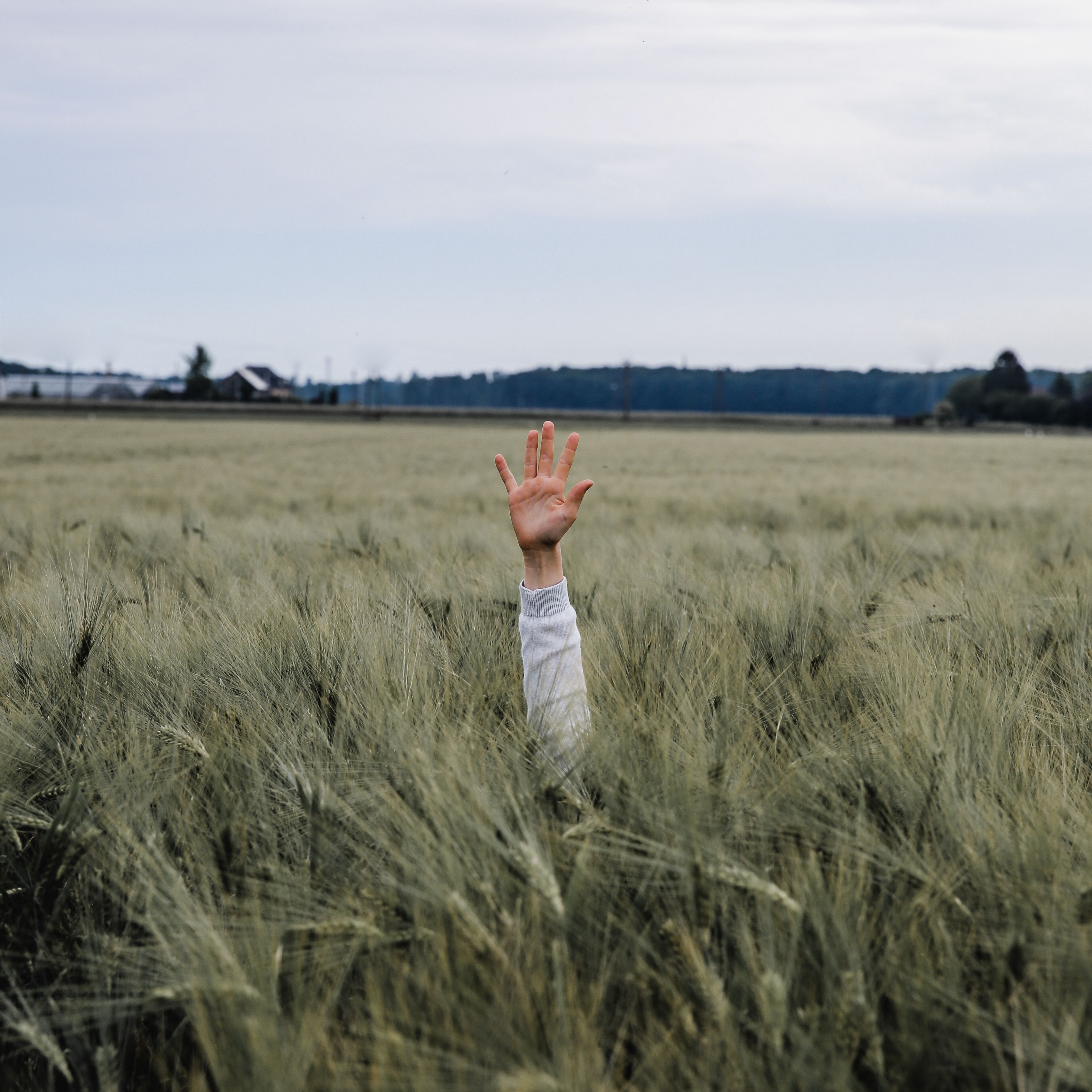 Download wallpaper 3415x3415 hand, kid, field, meadow, grass, ears ipad ...