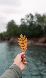 Preview wallpaper hand, leaf, autumn, focus