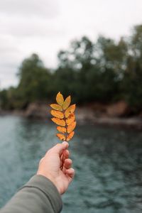 Preview wallpaper hand, leaf, autumn, focus
