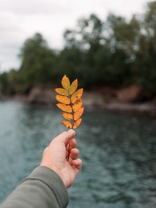 Preview wallpaper hand, leaf, autumn, focus