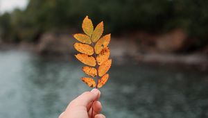 Preview wallpaper hand, leaf, autumn, focus
