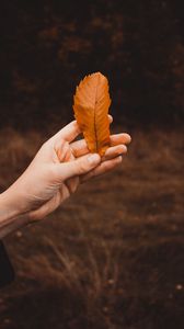 Preview wallpaper hand, leaf, dry, brown, autumn