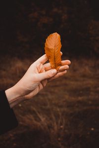 Preview wallpaper hand, leaf, dry, brown, autumn