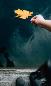 Preview wallpaper hand, leaf, dry, autumn