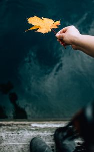 Preview wallpaper hand, leaf, dry, autumn