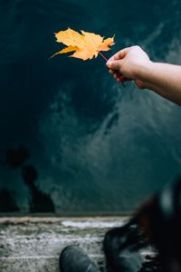 Preview wallpaper hand, leaf, dry, autumn