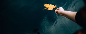 Preview wallpaper hand, leaf, dry, autumn