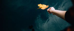 Preview wallpaper hand, leaf, dry, autumn